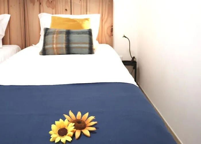 Ocean Front Terrace Casa vacanze *