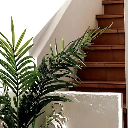 Ocean Front Terrace بيت للعطل *