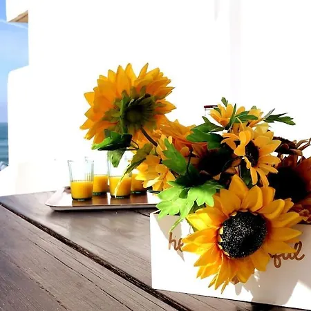 Ocean Front Terrace بيت للعطل