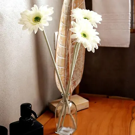 Ocean Front Terrace * إيريسييرا