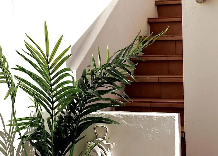 Ocean Front Terrace Дом отдыха *